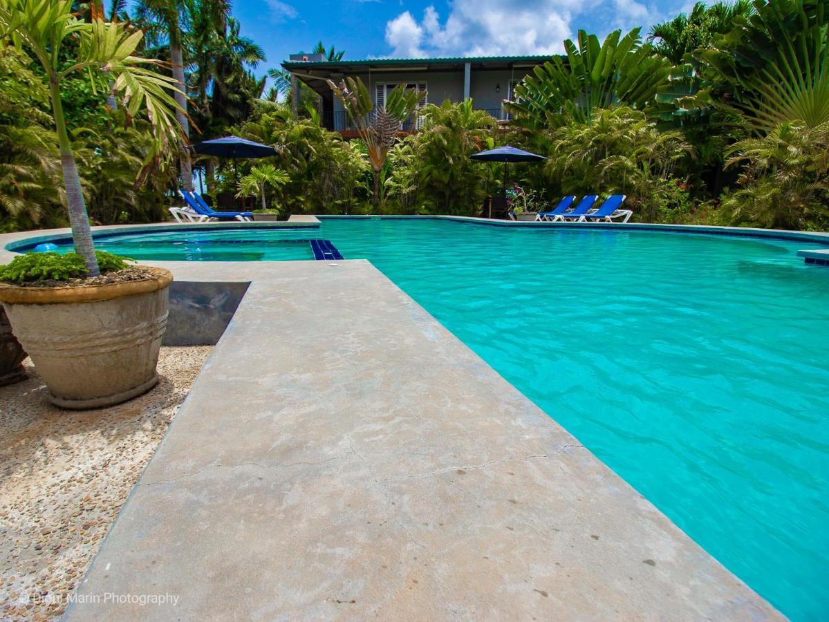 Almond Tree Hotel Resort โคโรซอล ภายนอก รูปภาพ