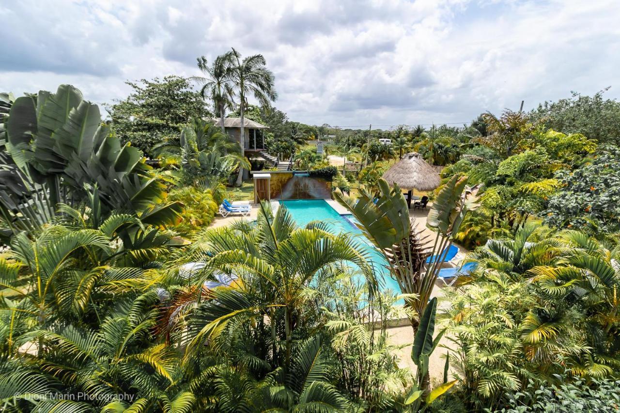 Almond Tree Hotel Resort โคโรซอล ภายนอก รูปภาพ