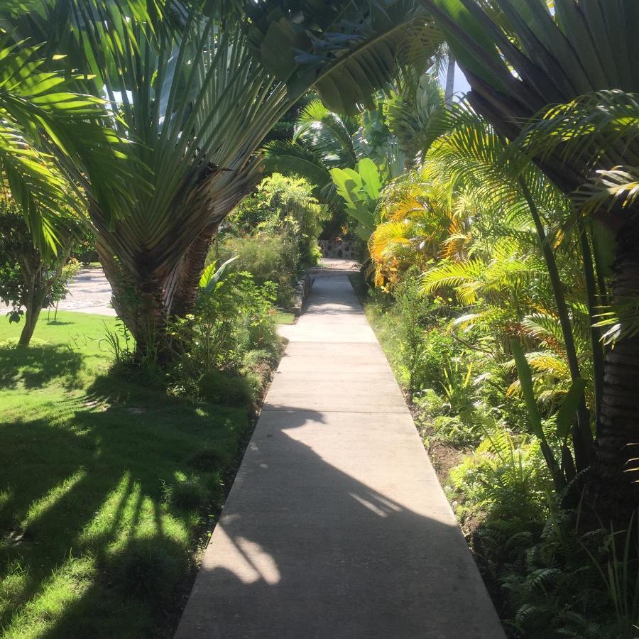 Almond Tree Hotel Resort โคโรซอล ภายนอก รูปภาพ